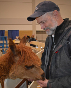 Visionaries member meets an alpaca at the Royal Winter Agricultural Fair.